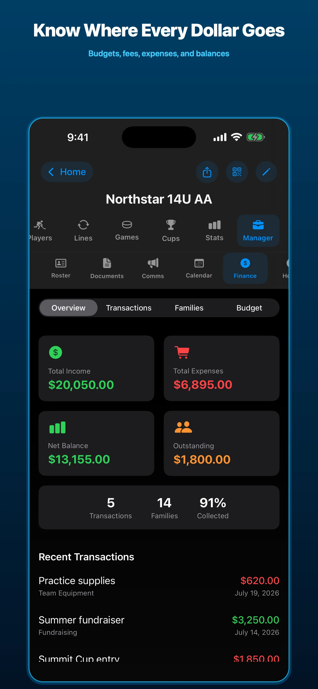 IceMetrics team finance dashboard with income, expenses, balances, and transactions